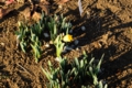 0109 203.JPG