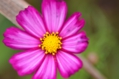 1006_004.JPG