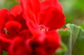 0419_0424.JPG