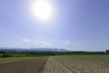 150601D802_062.JPG