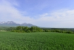 150530D802_172.JPG