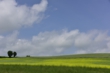 15026D810_016.JPG