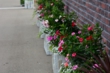 150804D7100_063.JPG