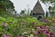 150804D810_388.JPG