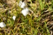 150917D810_158.JPG