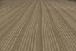150918D810_086.JPG