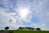 130829D802_042.JPG
