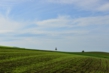 130829D801_157.JPG