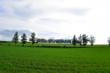 130829D801_174.JPG