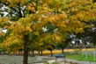 130930D801_014.JPG