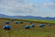 130929D801_199.JPG