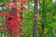 130929D801_228.JPG