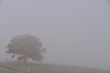 131104D801_140.JPG