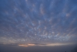 131104D802_031.JPG