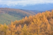 131102D710_143.JPG
