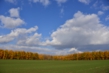 131101D801_045.JPG