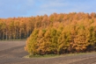 131101D710_015.JPG