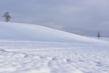 131223D801_082.JPG