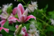 140727D7100_297.JPG