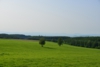 0728_56.JPG