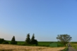 0728_74.JPG