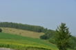 140729D801_261.JPG