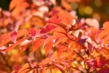 140922D801_116.JPG