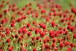 140923D801_037.JPG