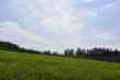 140923D7100_182.JPG