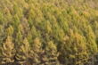 141024D810_085.JPG