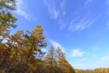 141024D802_122.JPG