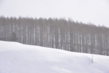 1221_014.JPG